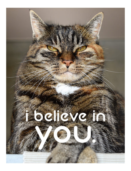 The I Believe in You From the Cat Card